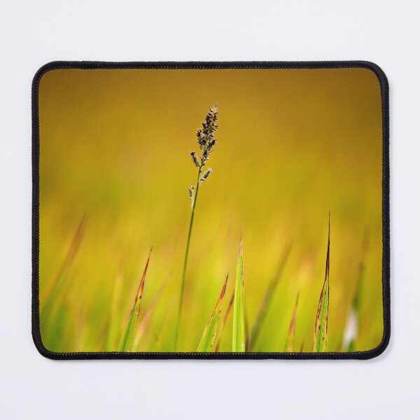 Item preview, The simple beauty of a wild ear of corn designed and sold by franck380.