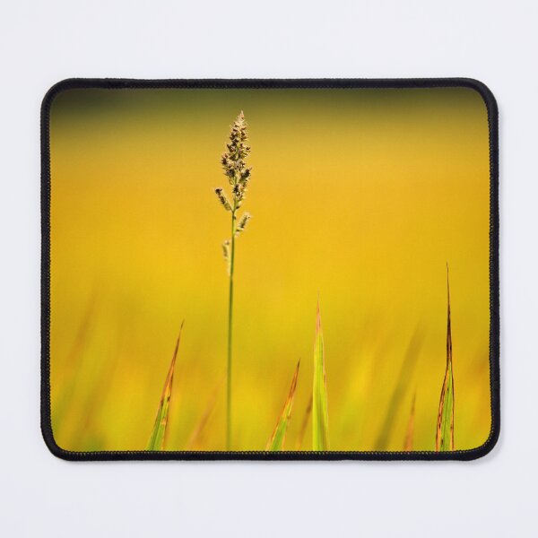 Item preview, Épi solitaire sur fond jaune éclatant designed and sold by franck380.