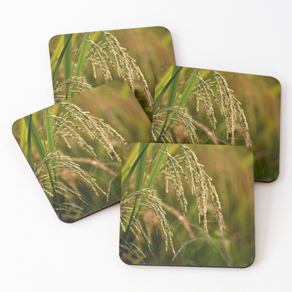Item preview, Natural beauty of paddy rice in close-up designed and sold by franck380.