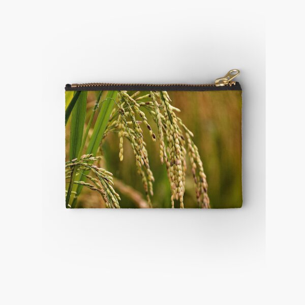 Item preview, Natural beauty of paddy rice in close-up designed and sold by franck380.