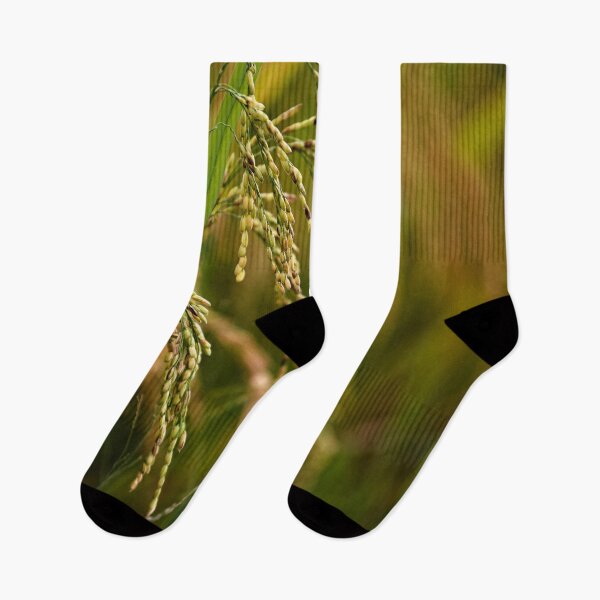 Item preview, Natural beauty of paddy rice in close-up designed and sold by franck380.