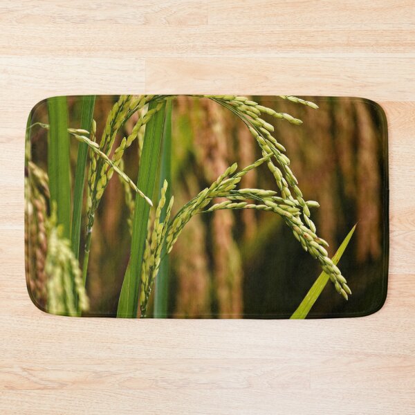 Item preview, Natural beauty of paddy rice in close-up designed and sold by franck380.