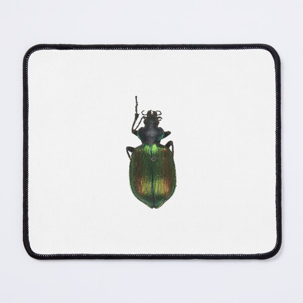 Item preview, Caterpillar Hunter Forest Design | Insect Art designed and sold by GammaRay.