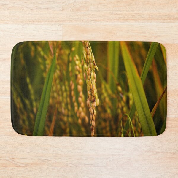 Item preview, Natural beauty of paddy rice in close-up designed and sold by franck380.