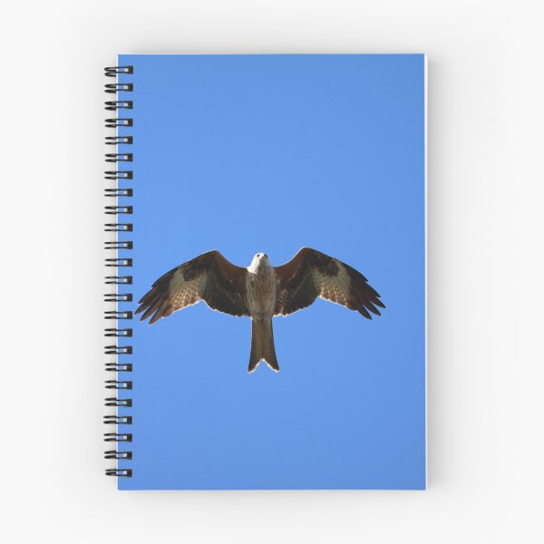 Item preview, Red Kite Overhead designed and sold by The Suns Anvil.