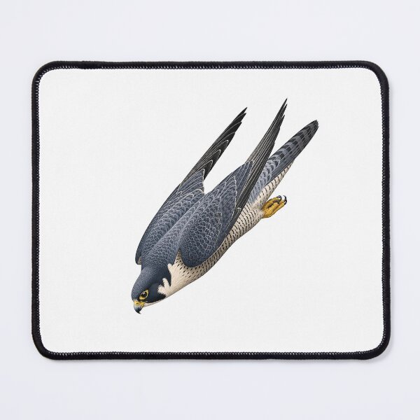 Item preview, Diving Peregrine Falcon designed and sold by jamesgerardking.