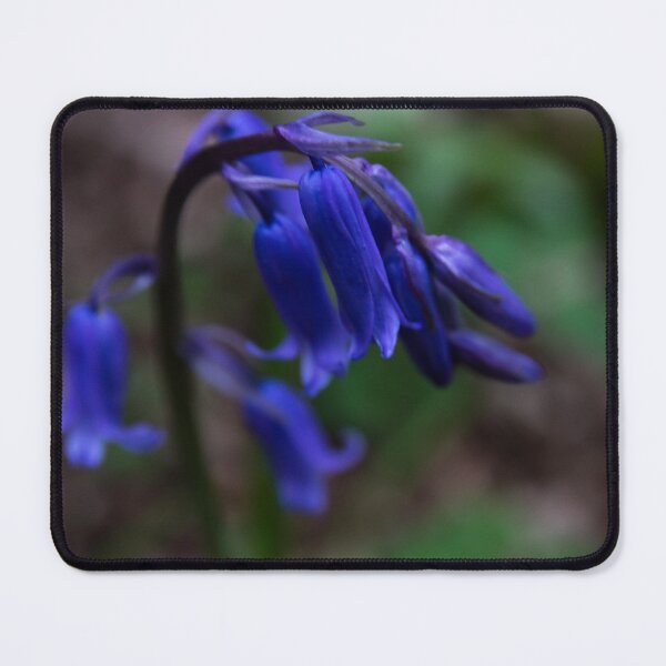 Item preview, Bluebell close up designed and sold by RDphotography92.