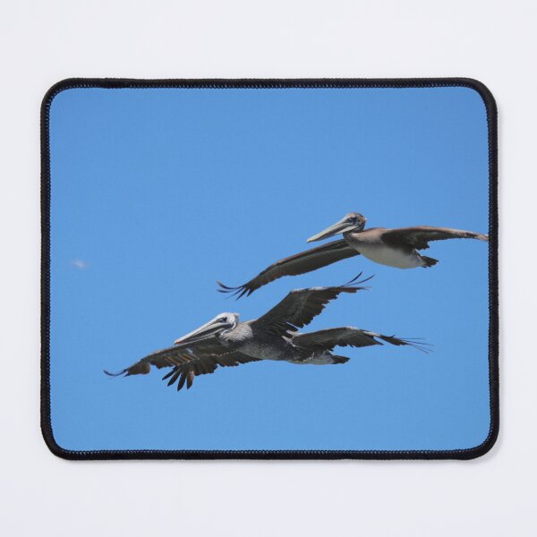 Item preview, Pelicans in San Francisco 1 designed and sold by The Suns Anvil.
