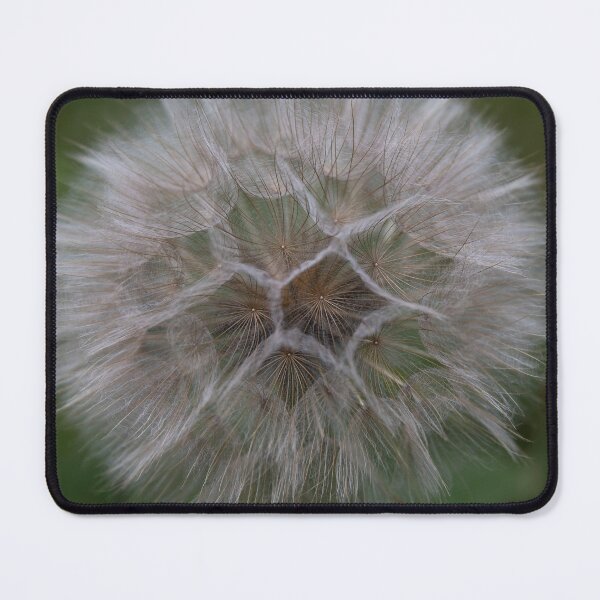 Item preview, Dandelion close up designed and sold by RDphotography92.