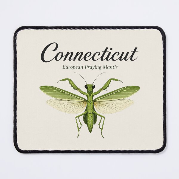 Item preview, Connecticut European Praying Mantis Poster designed and sold by The-Drip-Studio.