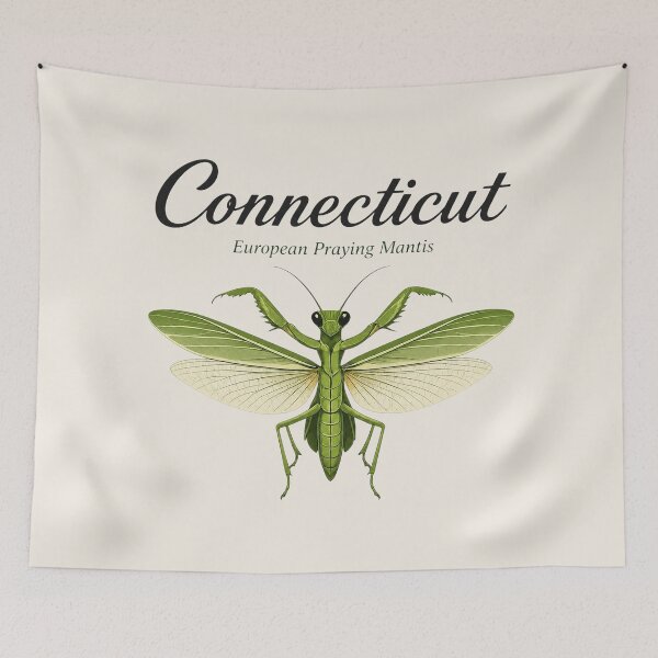 Item preview, Connecticut European Praying Mantis Poster designed and sold by The-Drip-Studio.
