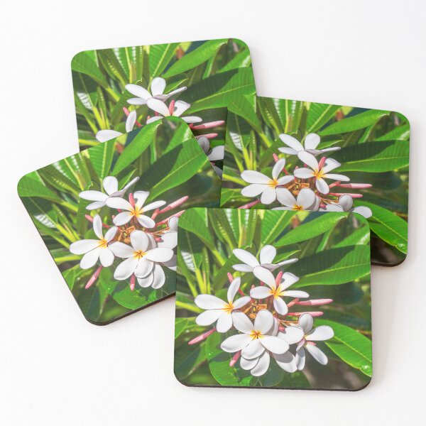 Item preview, Temple Tree Flowers designed and sold by CopperSkyPhoto.