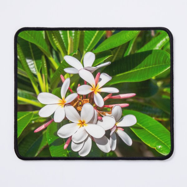 Item preview, Temple Tree Flowers designed and sold by CopperSkyPhoto.