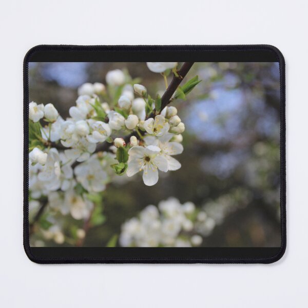 Item preview, Blossom designed and sold by Pellagia.