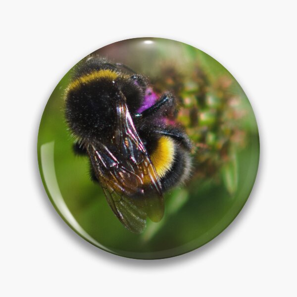 Item preview, Macro of a Bumble bee designed and sold by RDphotography92.