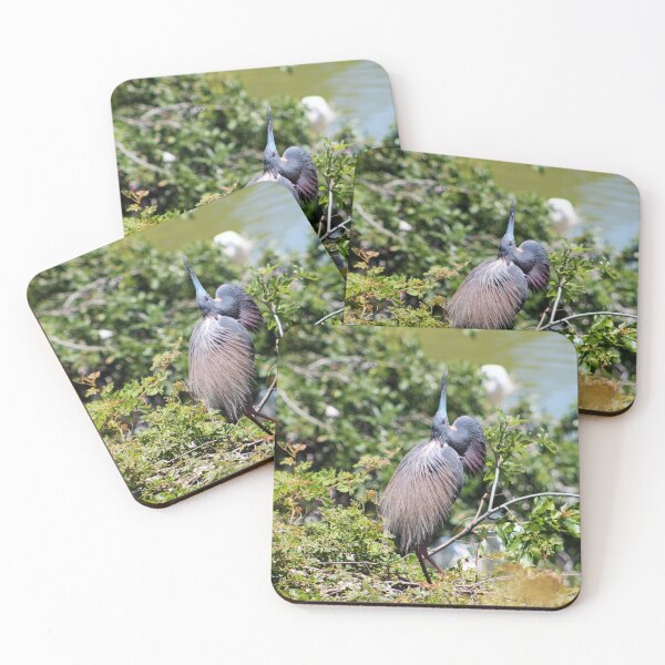 Item preview, Tricolored Heron Mating Dance designed and sold by Cynthia48.