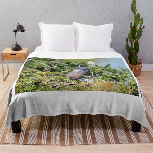 Item preview, Tricolored Heron Mating Dance designed and sold by Cynthia48.