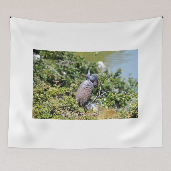 Item preview, Tricolored Heron Mating Dance designed and sold by Cynthia48.