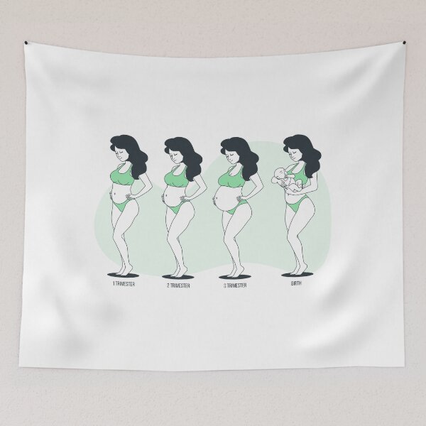 Item preview, Pregnancy Stages Illustration — Trimester to Birth Chart Print designed and sold by Zaydroid.