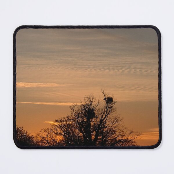 Item preview, Tree Nest at Sunset designed and sold by Lookupbyluke.