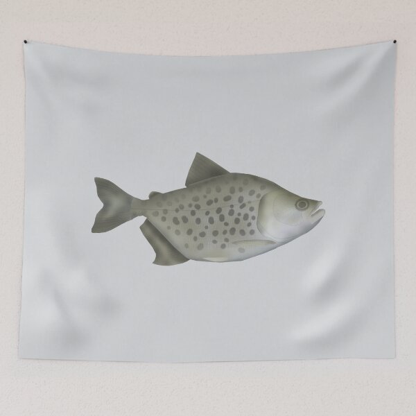 Item preview, Spotted Piranha designed and sold by fishfolkart.