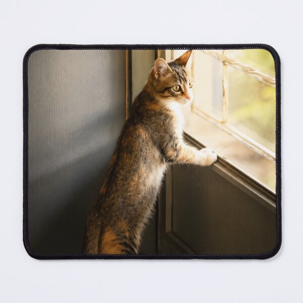 Item preview, Cute kitten waiting at the door designed and sold by Kimberly Palmer.