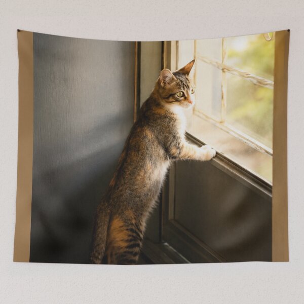 Item preview, Cute kitten waiting at the door designed and sold by Kimberly Palmer.