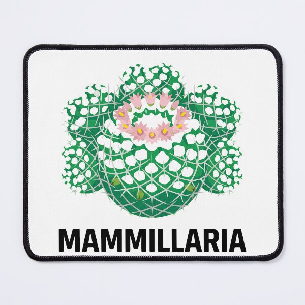 Item preview, Minimalist Fluffy Mammillaria Glassii Cactus Graphic designed and sold by GreenDivisionJP.