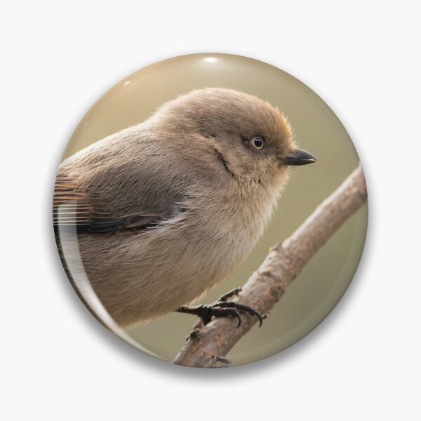 Item preview, Tiny Bushtit in Morning Light designed and sold by Kimberly Palmer.