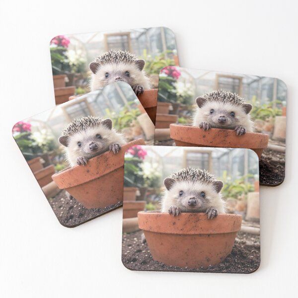 Item preview, Hedgehog in a Clay Flower Pot designed and sold by Maria Dryfhout.