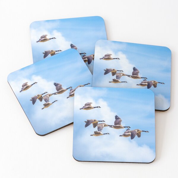 Item preview, Canada Geese fly-by designed and sold by Dalyndigital Photography.