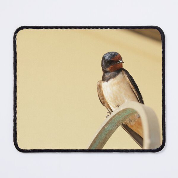 Item preview, Swallow in Greece 2 designed and sold by The Suns Anvil.