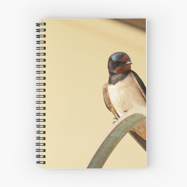 Item preview, Swallow in Greece 2 designed and sold by The Suns Anvil.