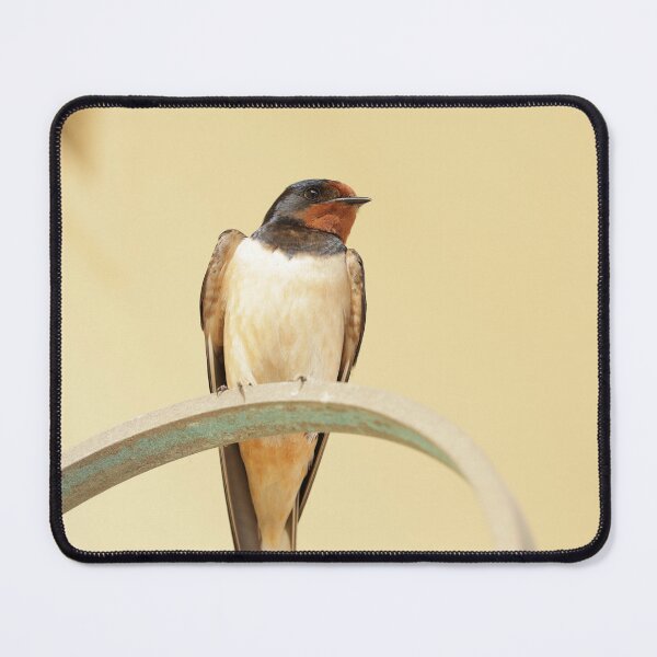 Item preview, Swallow in Greece 3 designed and sold by The Suns Anvil.