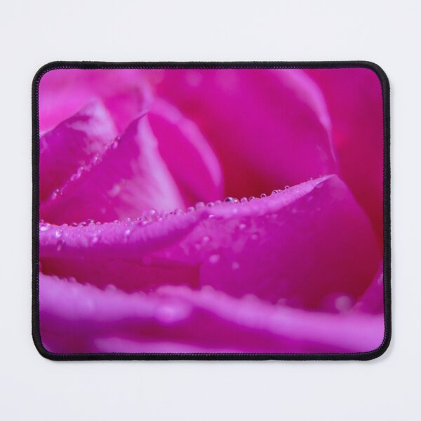 Item preview, Magenta Rose Macro Photography with Raindrops designed and sold by MariaAteva.