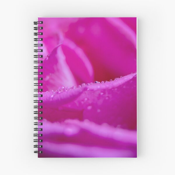 Item preview, Magenta Rose Macro Photography with Raindrops designed and sold by MariaAteva.