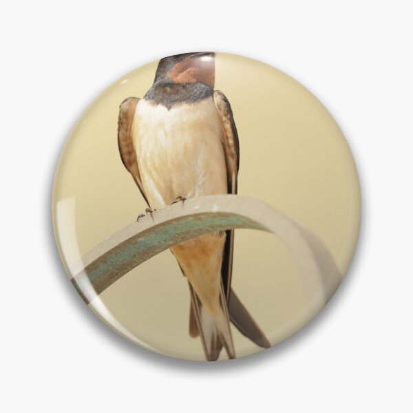 Item preview, Swallow in Greece 4 designed and sold by The Suns Anvil.