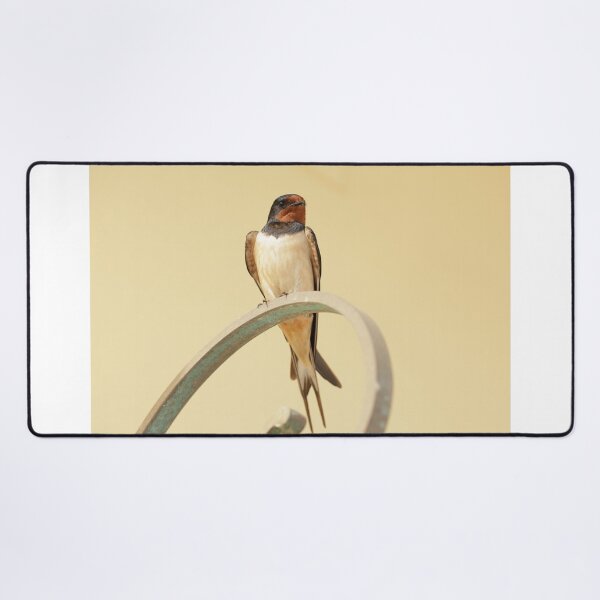 Item preview, Swallow in Greece 4 designed and sold by The Suns Anvil.