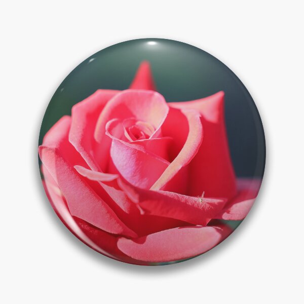 Artikelvorschau, rote Rose entworfen und verkauft von The Suns Anvil.