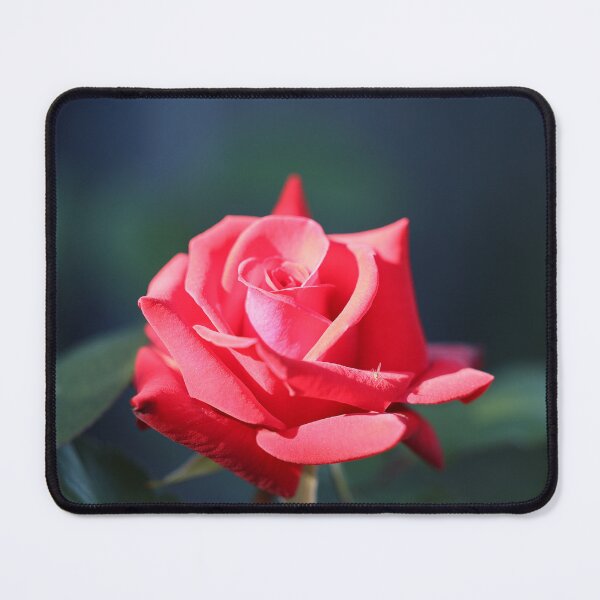 Item preview, Red rose designed and sold by The Suns Anvil.