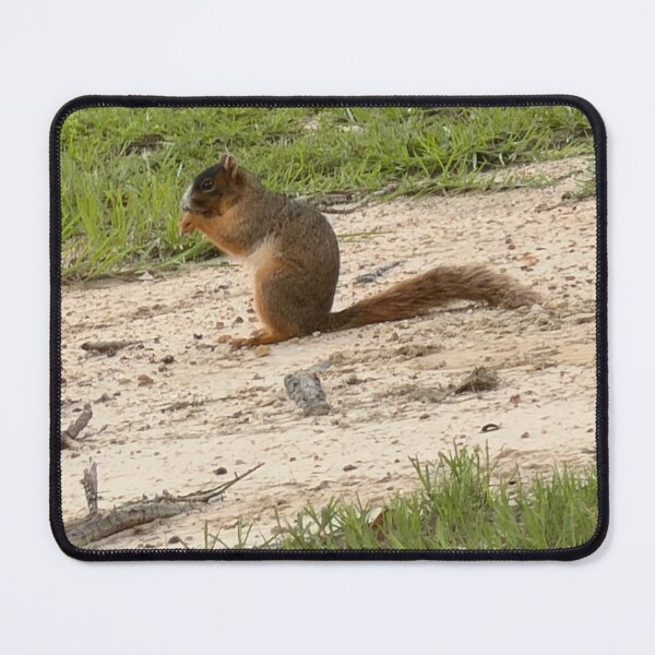 Item preview, Bushy-Tailed Beauty of the Forest. designed and sold by Pearls1.