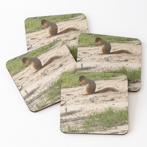 Item preview,     Bushy-Tailed Beauty of the Forest. designed and sold by Pearls1.