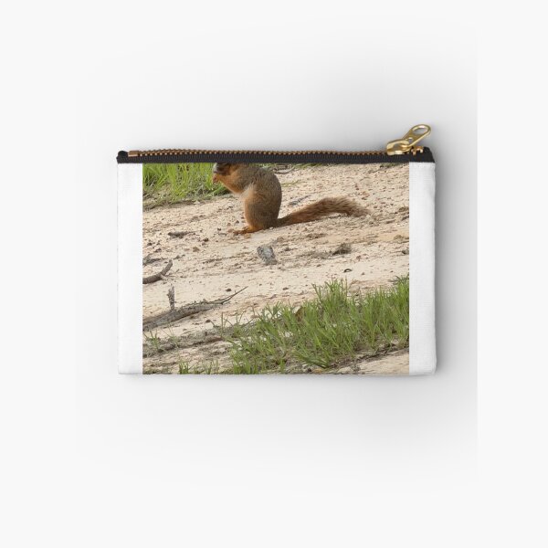 Item preview,     Bushy-Tailed Beauty of the Forest. designed and sold by Pearls1.