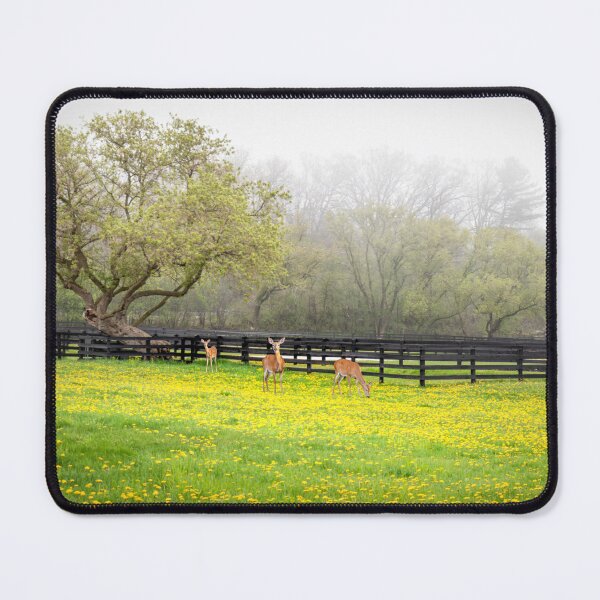 Item preview, White-tailed Deer in green field with dandelions designed and sold by TerraMediaLLC.
