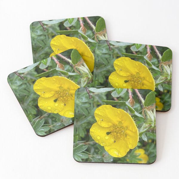 Item preview,  Wild Forest Flower Photography Print T-Shirt — Yellow Wildflower Botanical Nature Tee designed and sold by POTOTSKA.