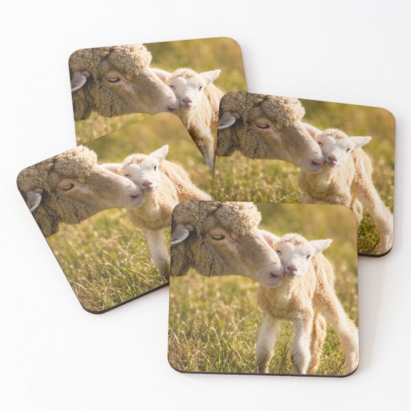Item preview, Where Love Begins designed and sold by Kimberly Palmer.