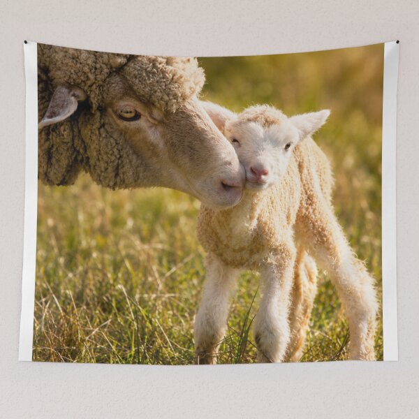 Item preview, Where Love Begins designed and sold by Kimberly Palmer.
