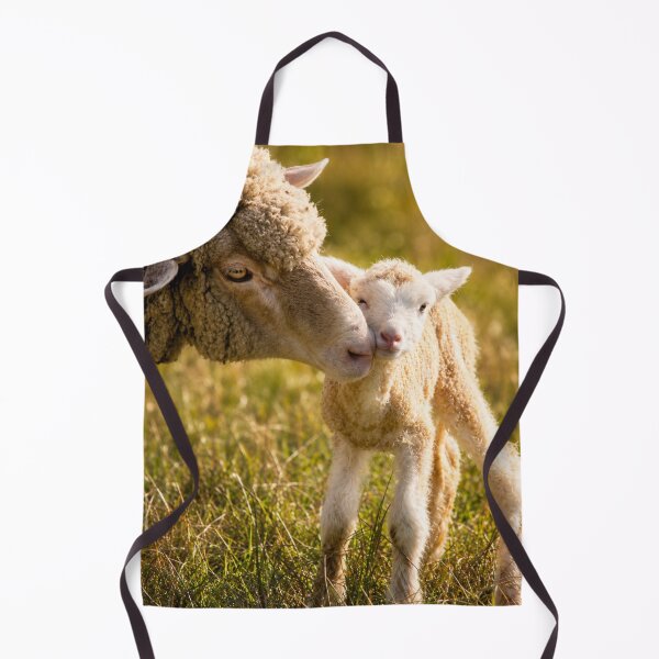 Item preview, Where Love Begins designed and sold by Kimberly Palmer.