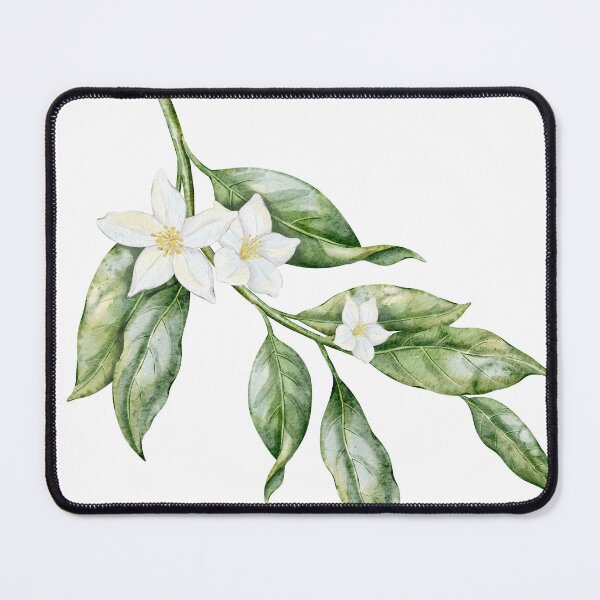 Item preview, Watercolor Citrus Blossom Branch designed and sold by Alisles.