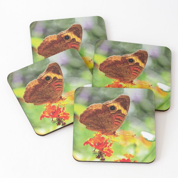 Item preview, Tropical Buckeye Butterfly Readying for Takeoff designed and sold by Kay Brewer.